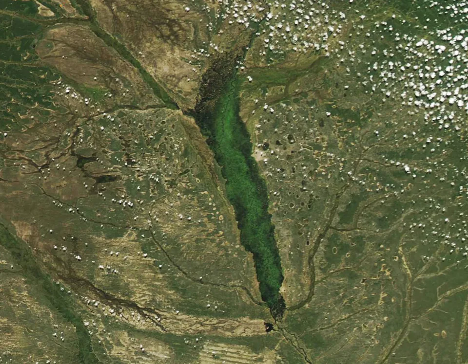 Satellite view of the Barotse floodplain in flood, Western Province, Zambia