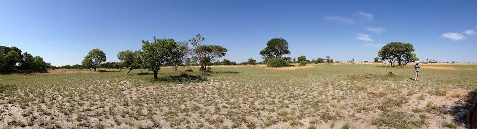 Ultra-wide view of the flat Liuwa Plain grassland horizon, Barotseland, Zambia