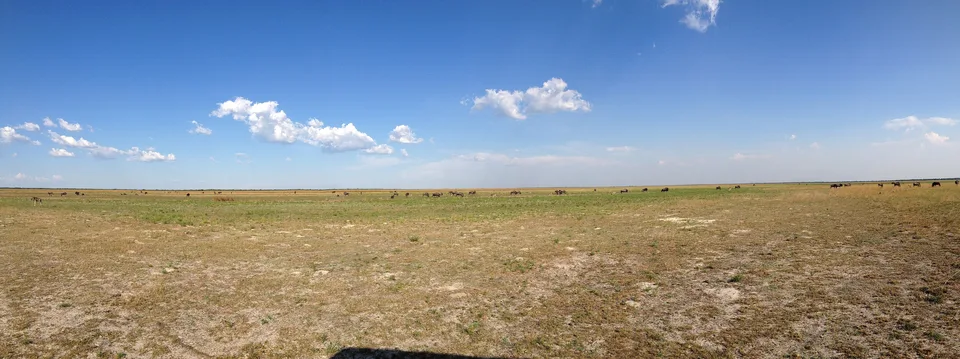 Open grassland on the Liuwa Plain under a wide sky in Barotseland, Zambia